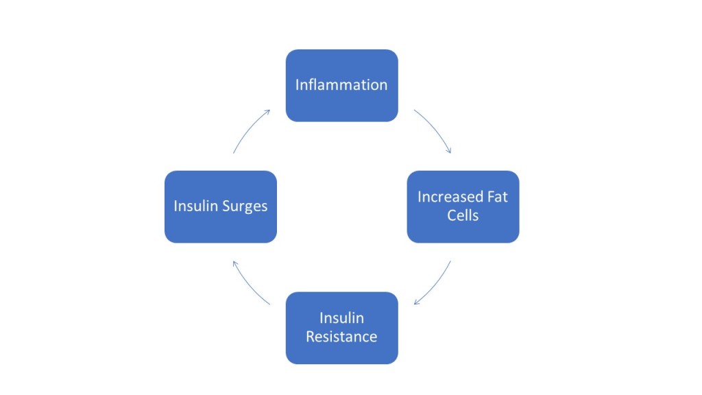 Weight gain inflammation cycle