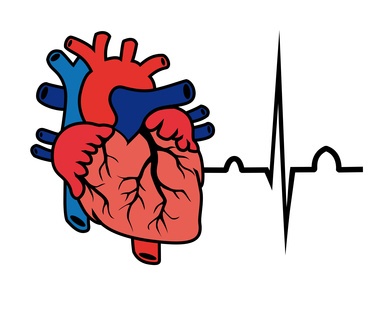Heart-cardiogram