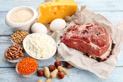 Protein-Sources