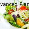Nutritional ID Advanced Plan Veggie Type