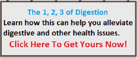 1-2-3 of Digestion