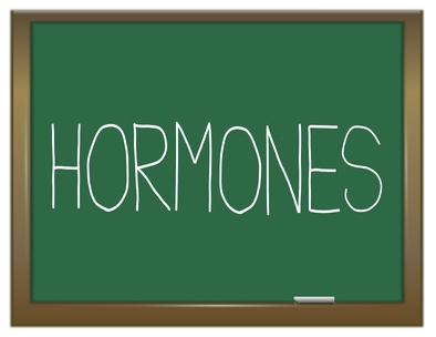 Hormones concept.